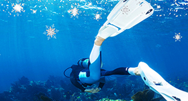 Szenteltvíz Búvárbolt - Ünnepi nyitvatartás